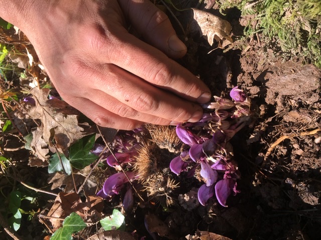 Annexe 4A906102-5464-47F8-B0CB-52EE33DF8032.jpeg