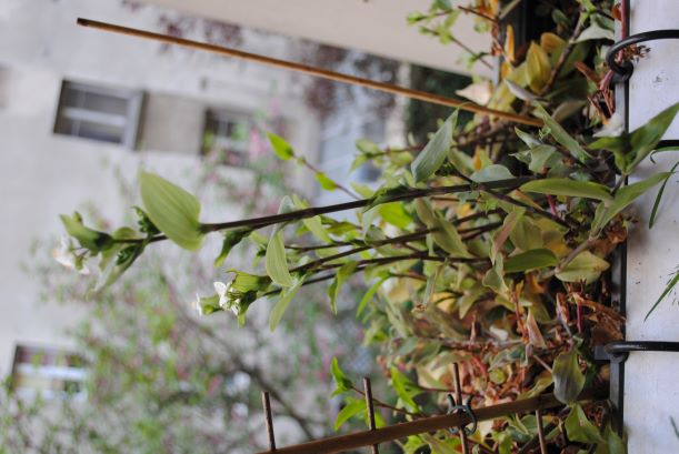 Annexe vue globale.JPG