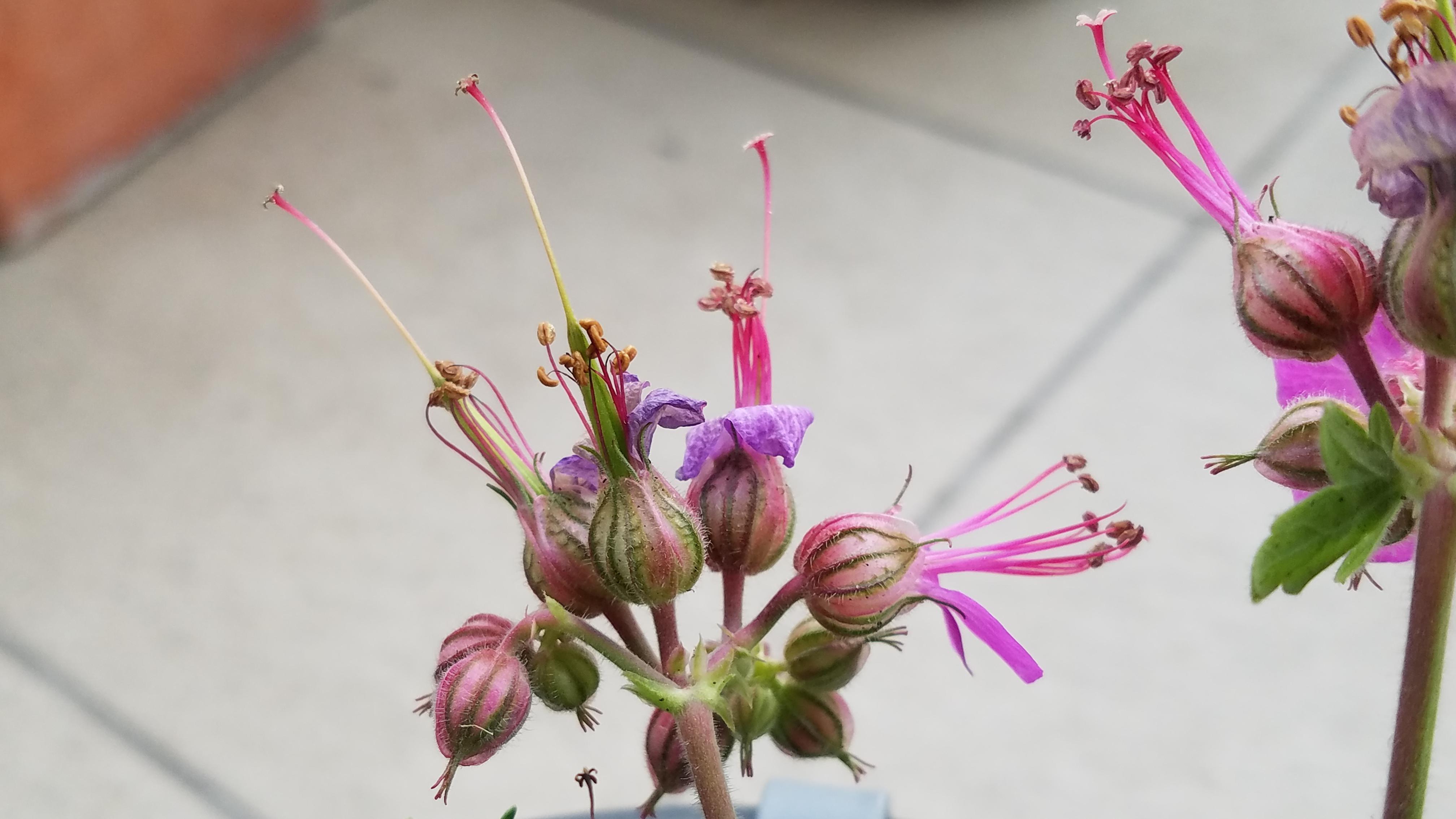 Annexe 20200407_0754580-ConvertImage.jpg