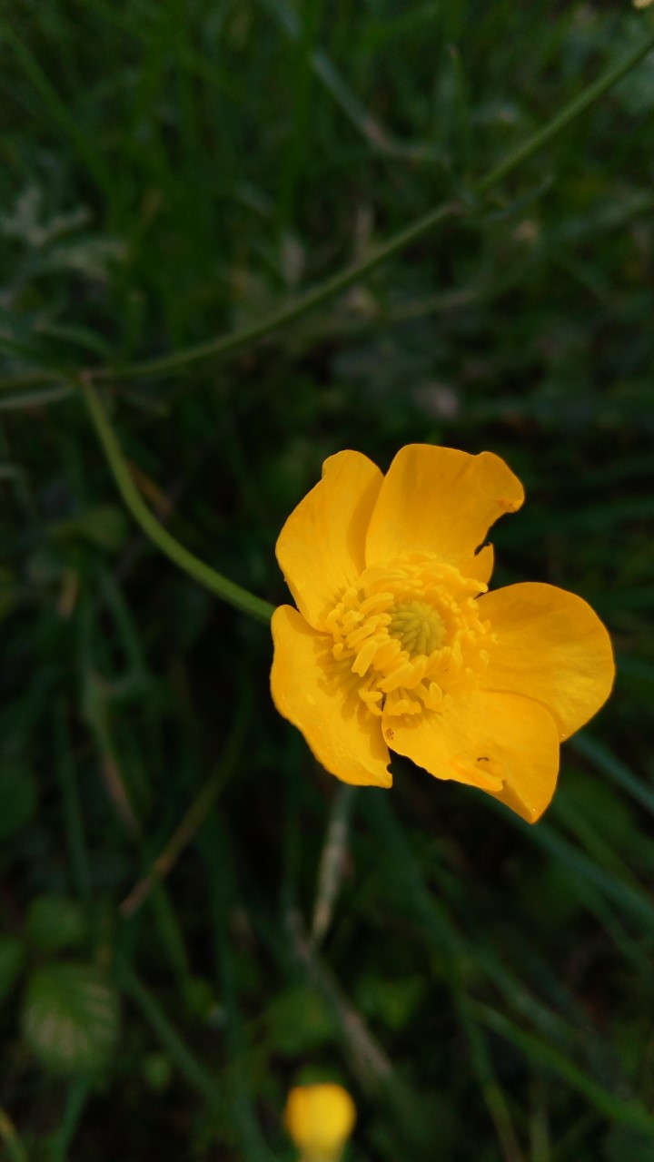 Annexe thumbnail_P_20200327_120141.jpg