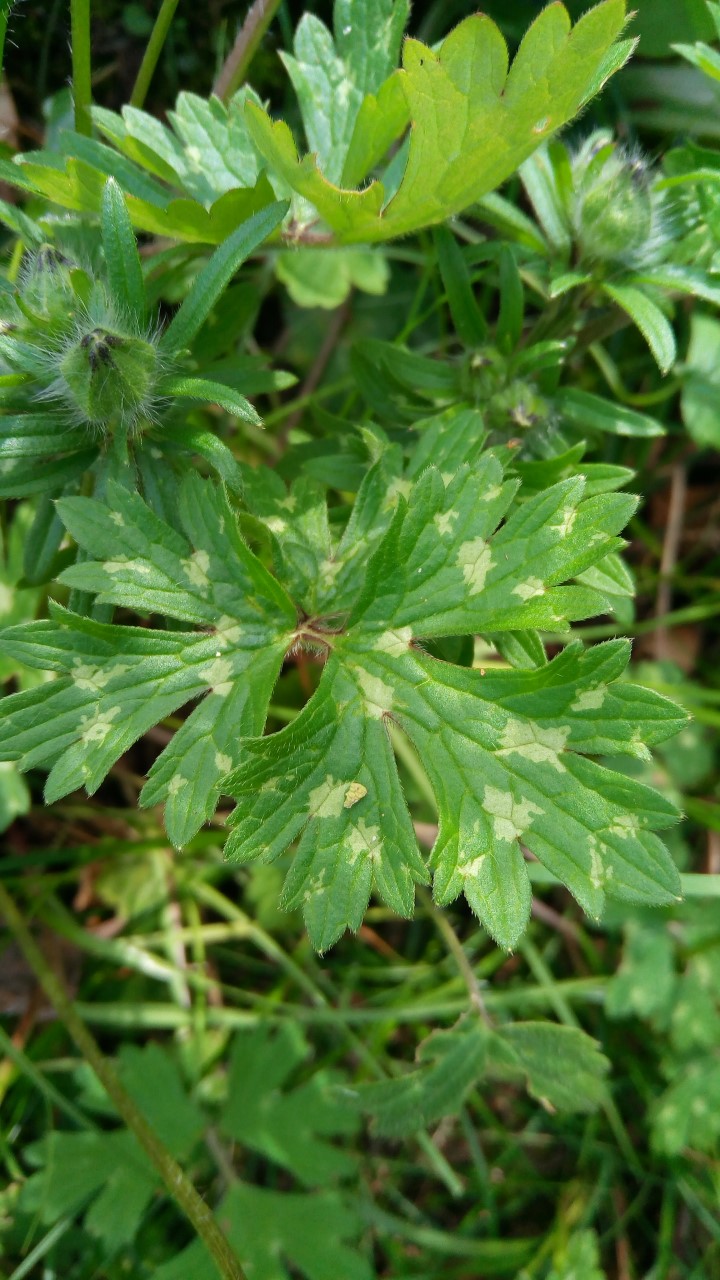 Annexe thumbnail_P_20200327_120255.jpg