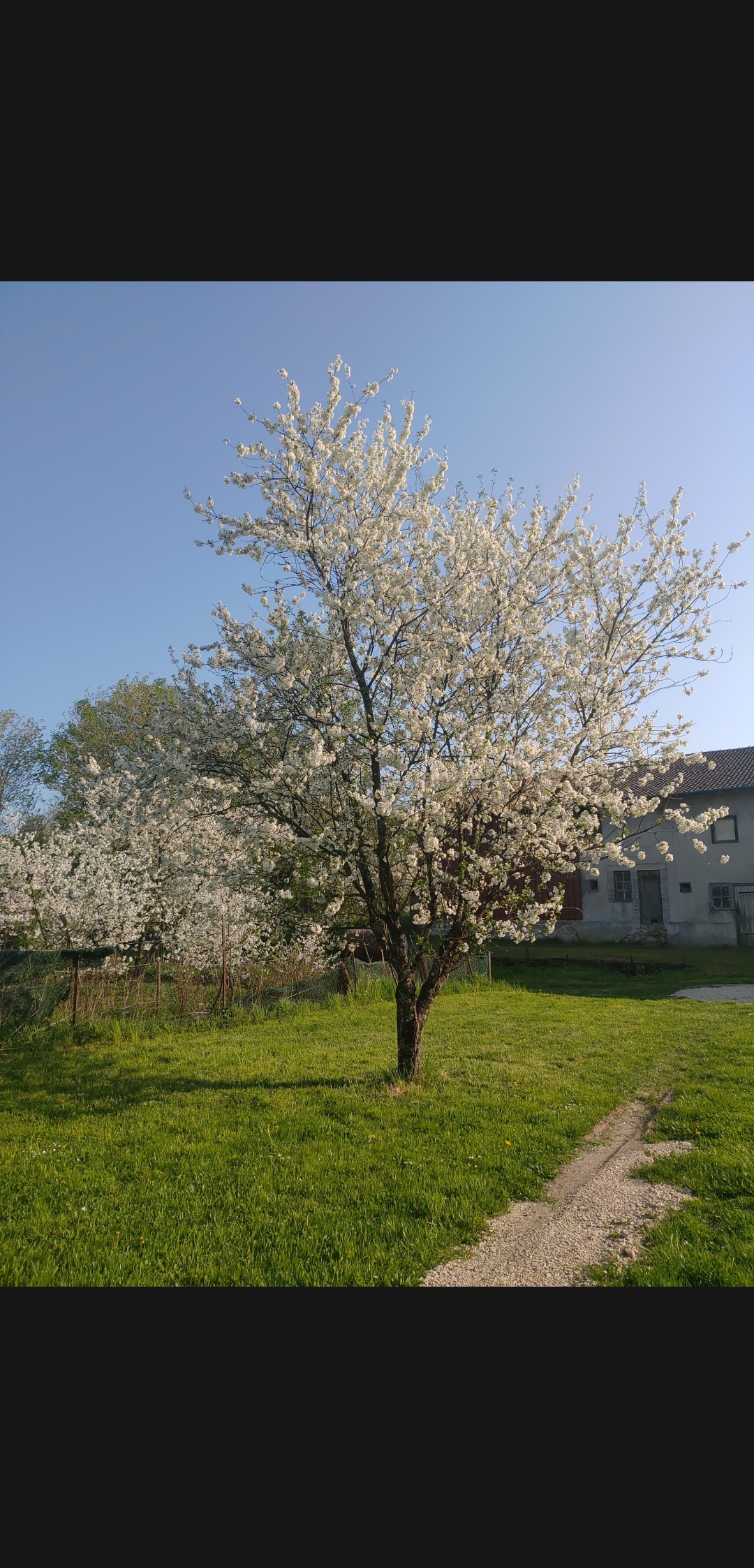 Annexe Screenshot_20200413-182540715.jpg