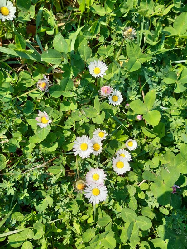 Annexe Photo_PF_1.jpg