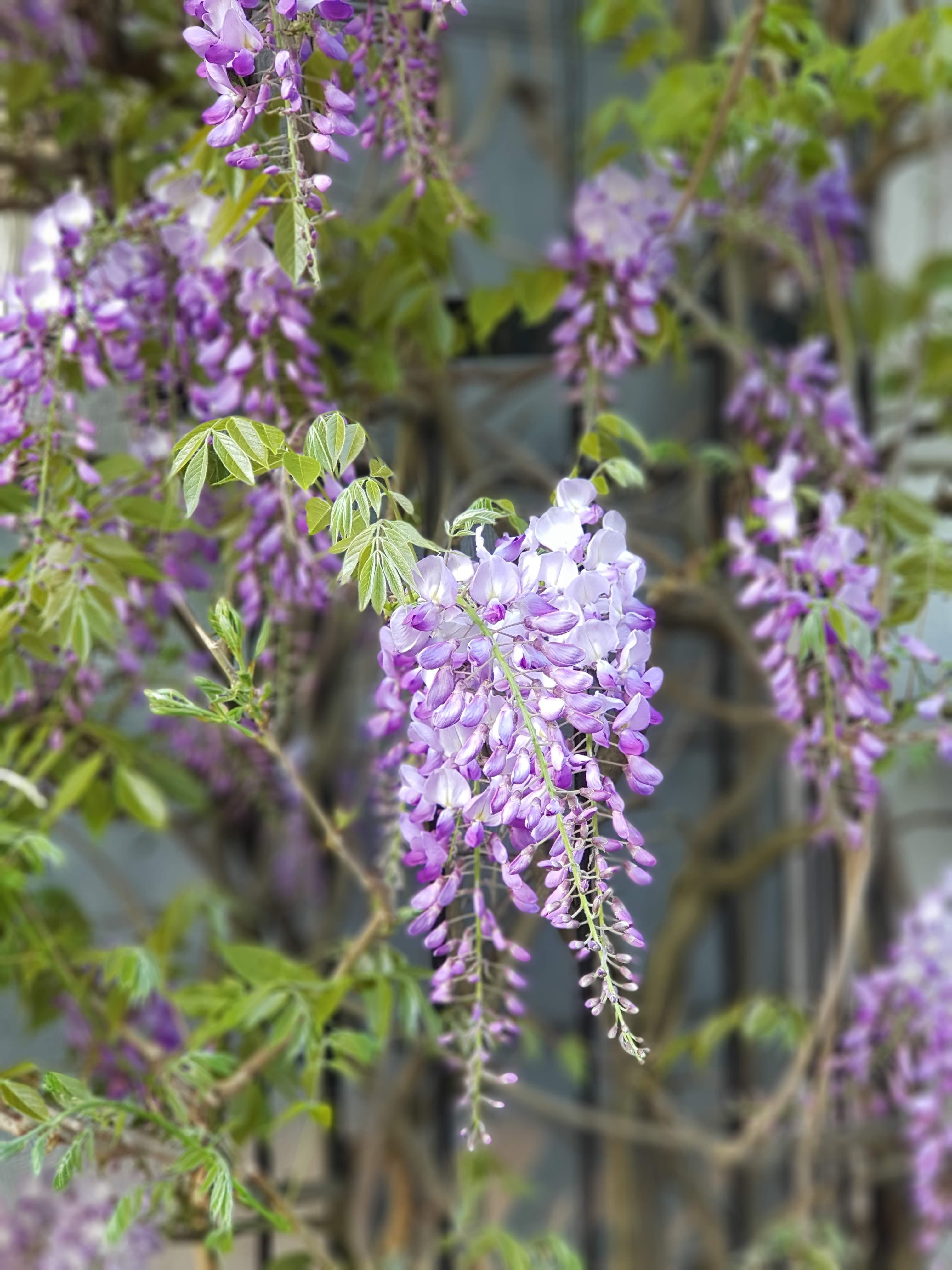 Annexe 20190421_Utrecht_Elodie Bétard3_copie.jpg