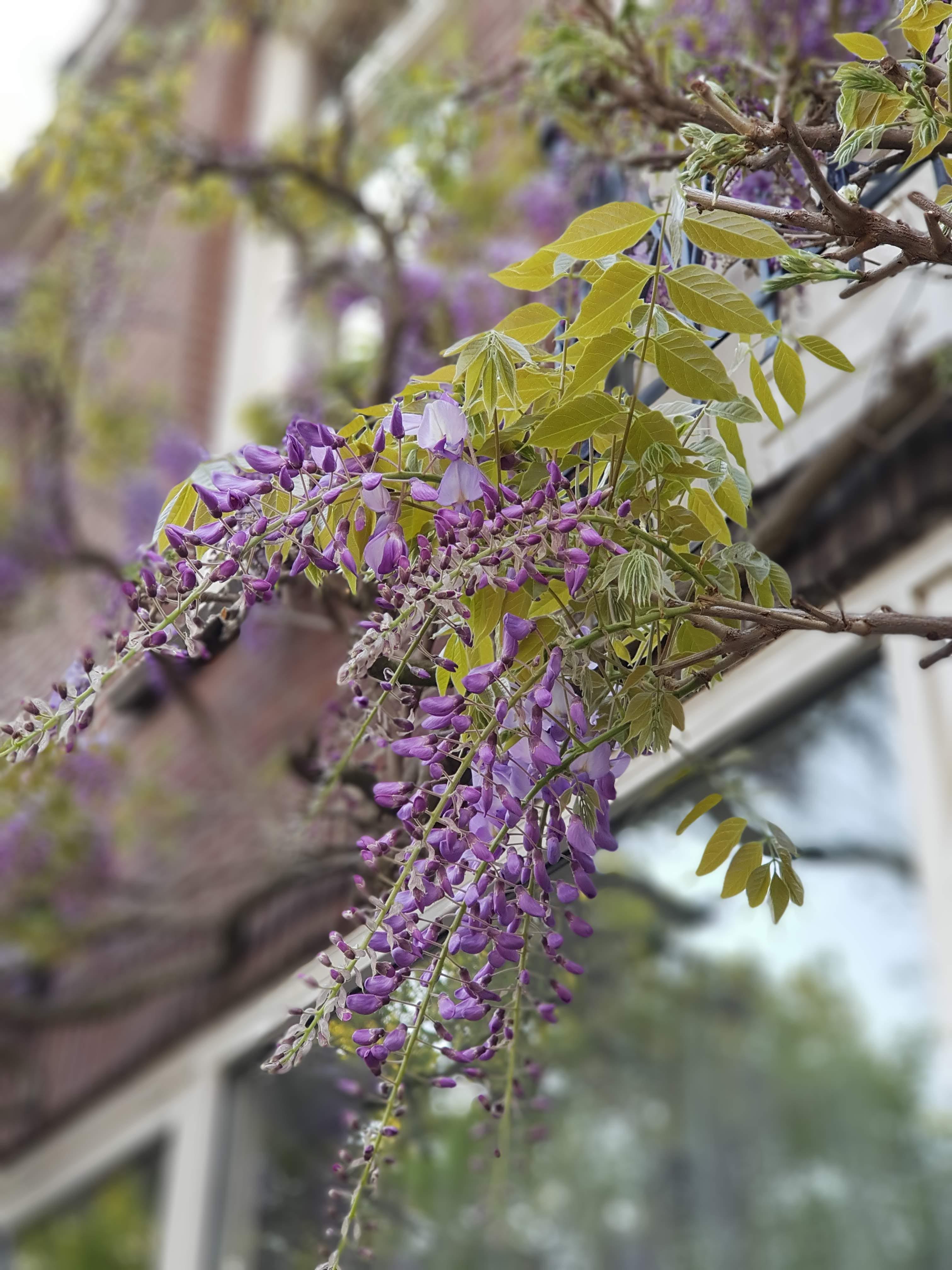 Annexe 20190421_Utrecht_Elodie Bétard_copie.jpg