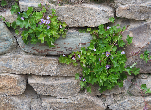 Annexe Screenshot 2020-04-14 15.52.10.png