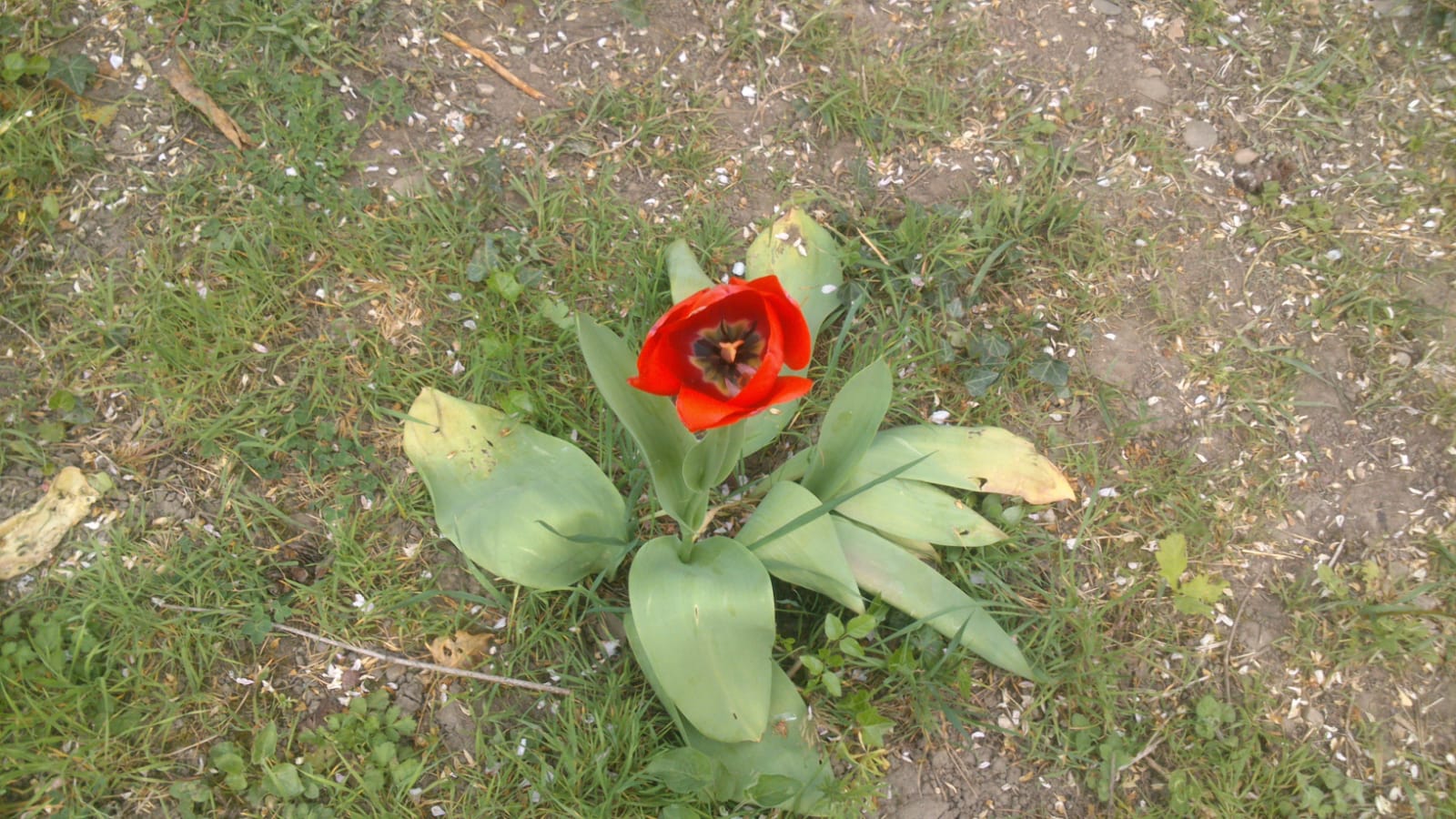 Annexe WhatsApp Image 2020-04-13 at 16.46.32.jpeg