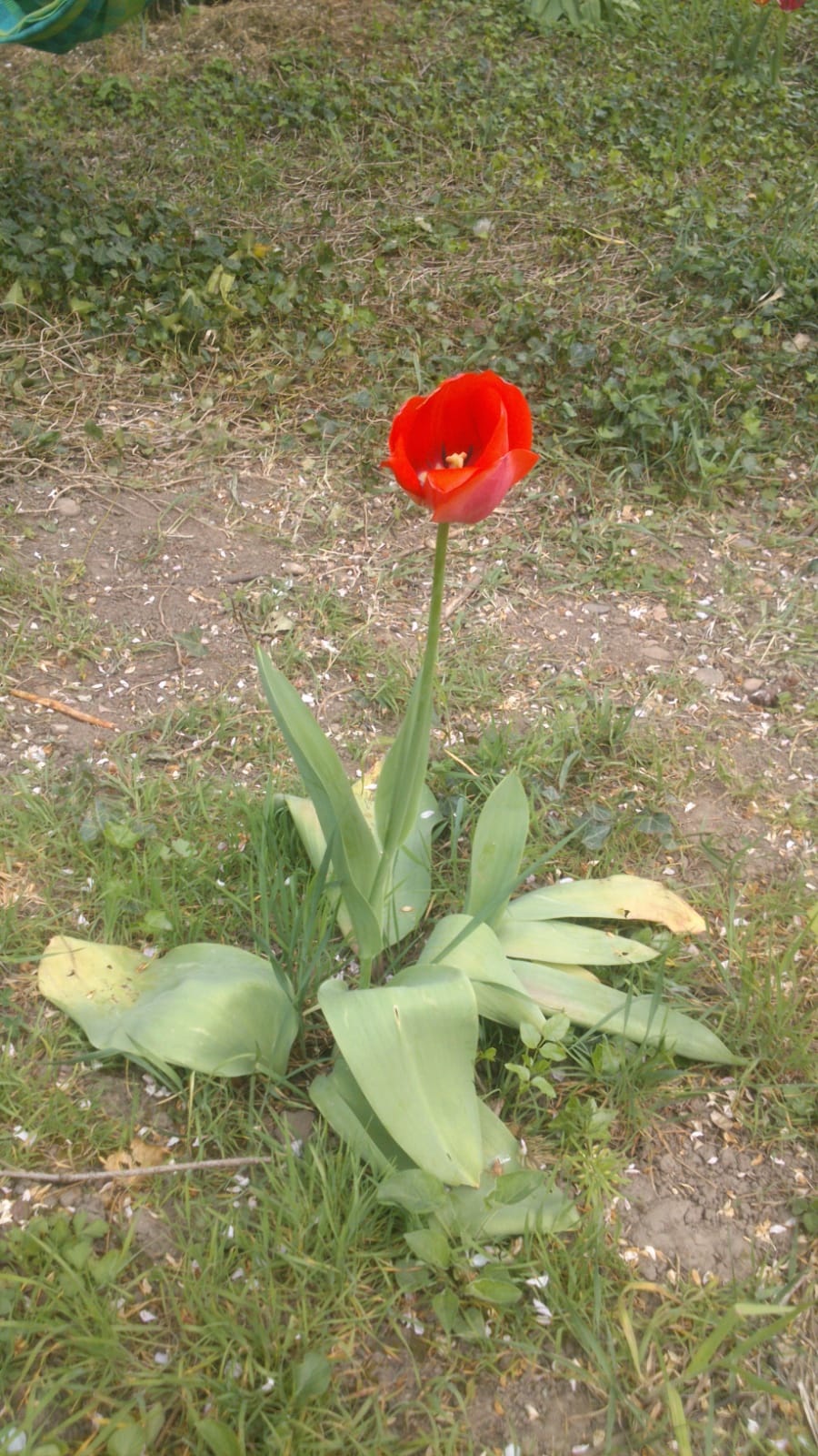 Annexe WhatsApp Image 2020-04-13 at 16.46.50.jpeg