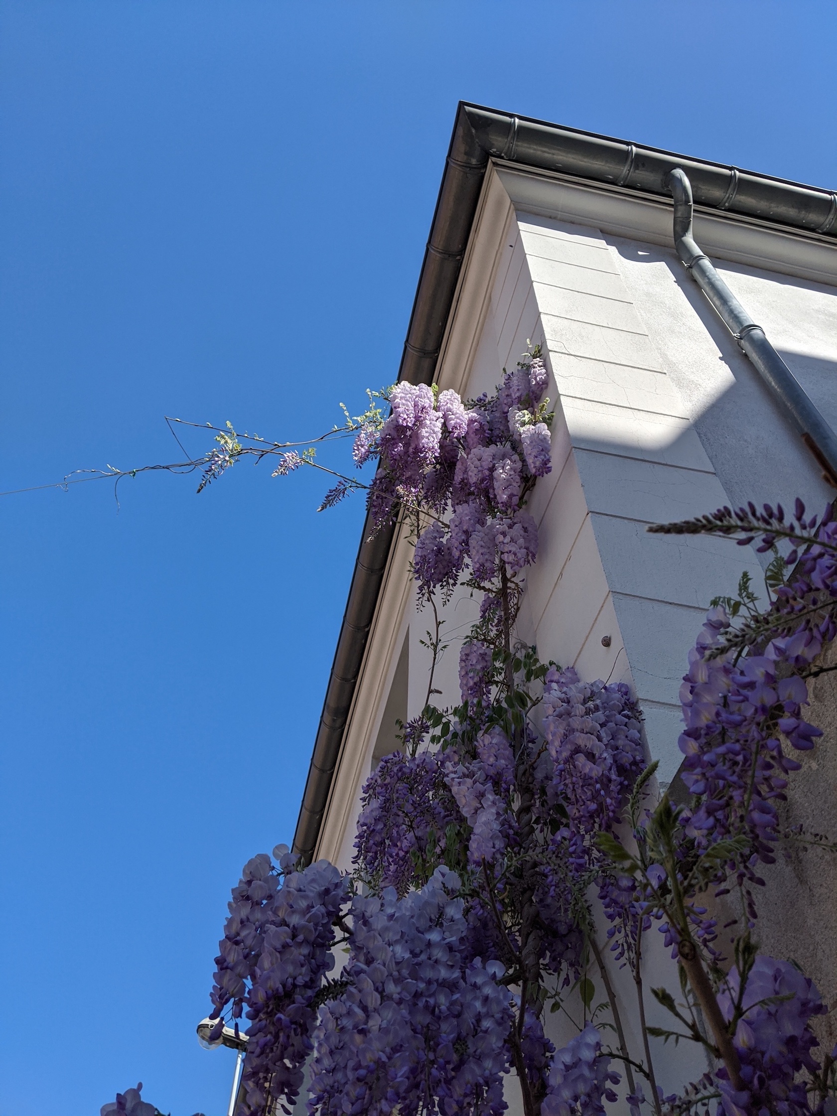 Annexe IMG_20200414_114141.jpg