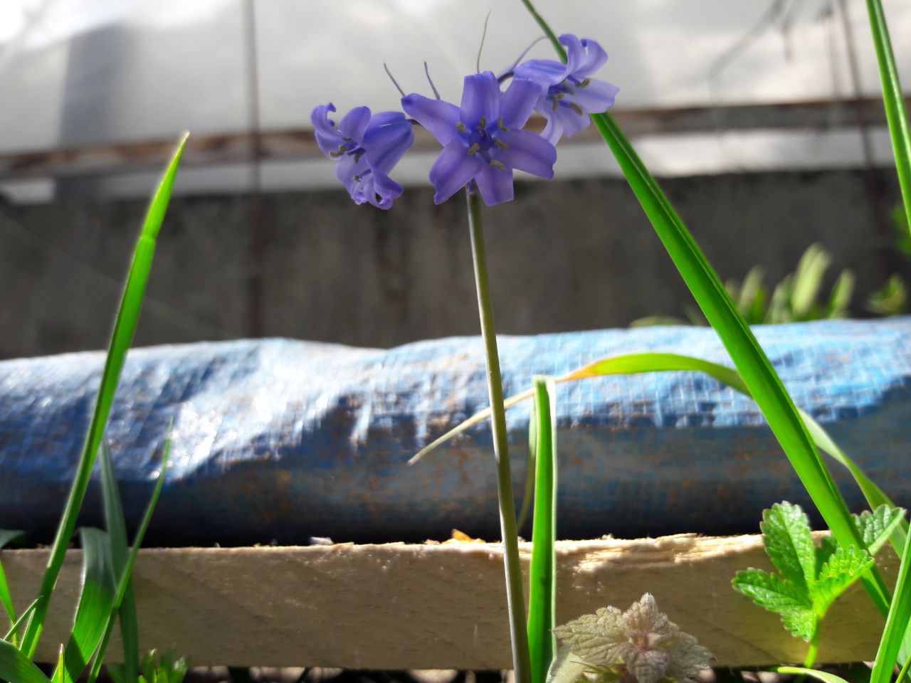 Annexe photo5814426824841736936.jpg