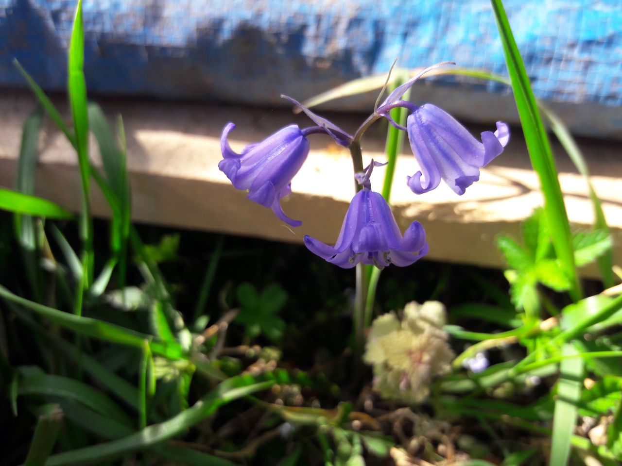 Annexe photo5814426824841736941.jpg