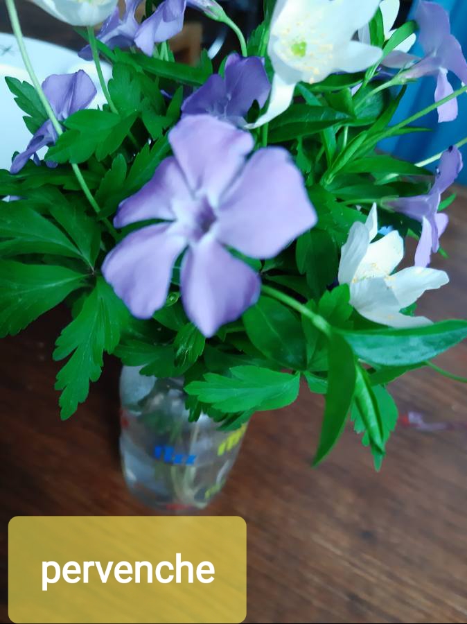 Annexe Essai photo.jpg