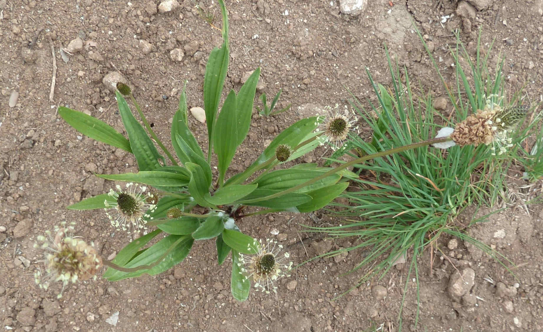 Annexe P1080873 low.jpg