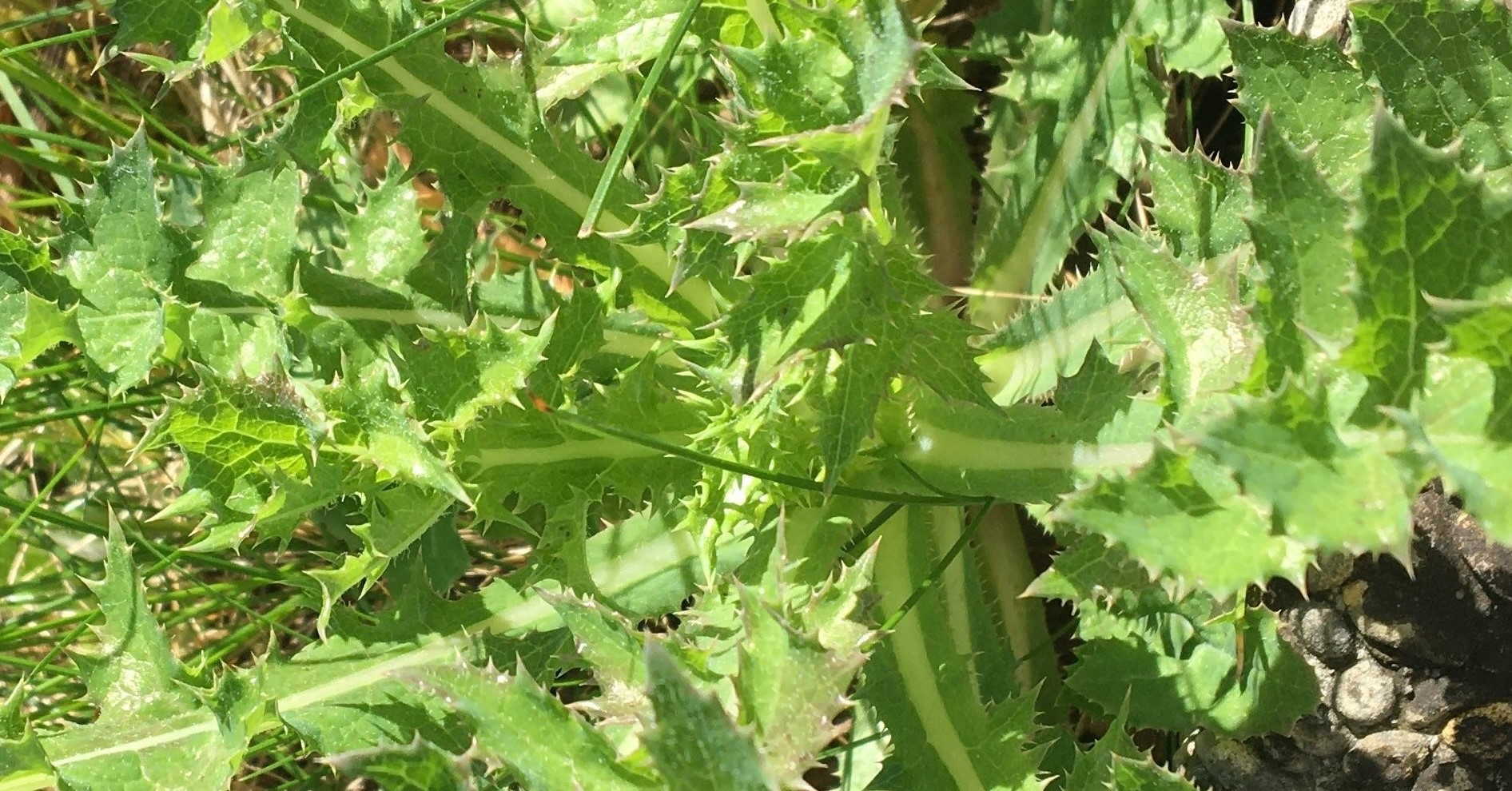 Annexe Activité Photo 1.jpg