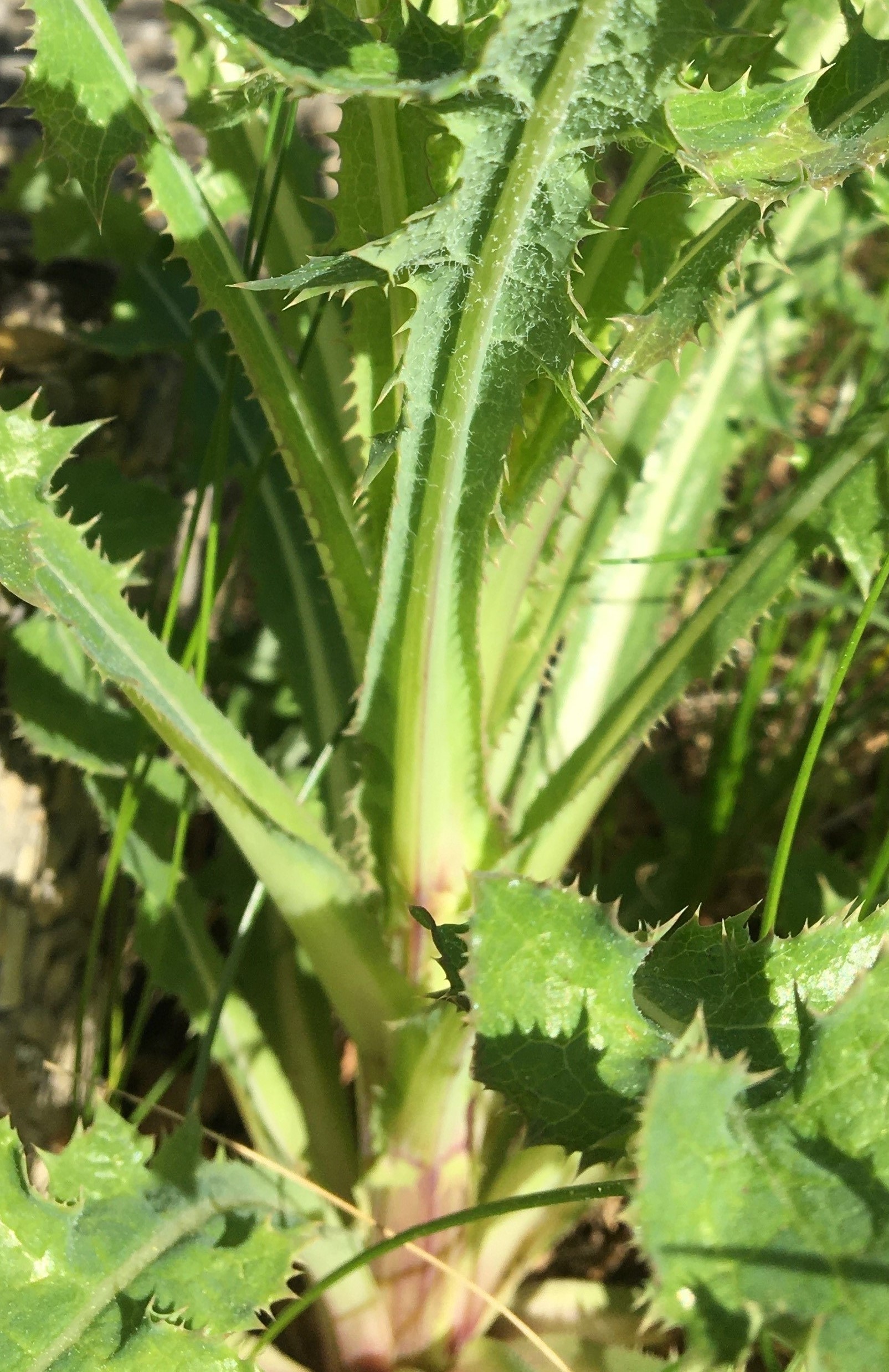 Annexe Activité Photo 3.jpg