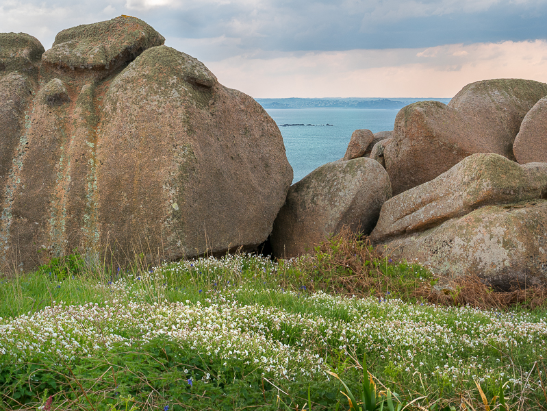 Annexe P1010568-Modifier.jpg