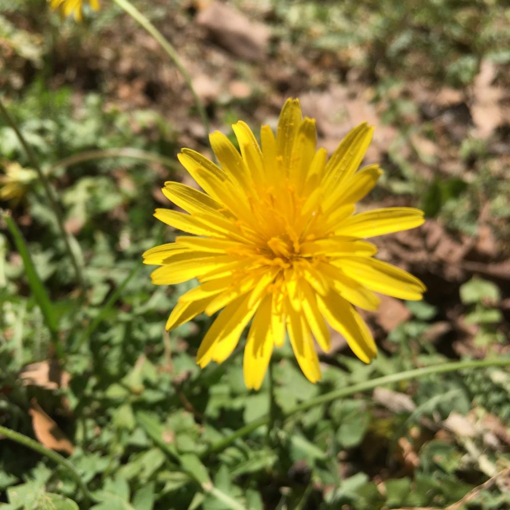 Annexe WhatsApp Image 2020-04-15 at 14.00.39 (1).jpeg