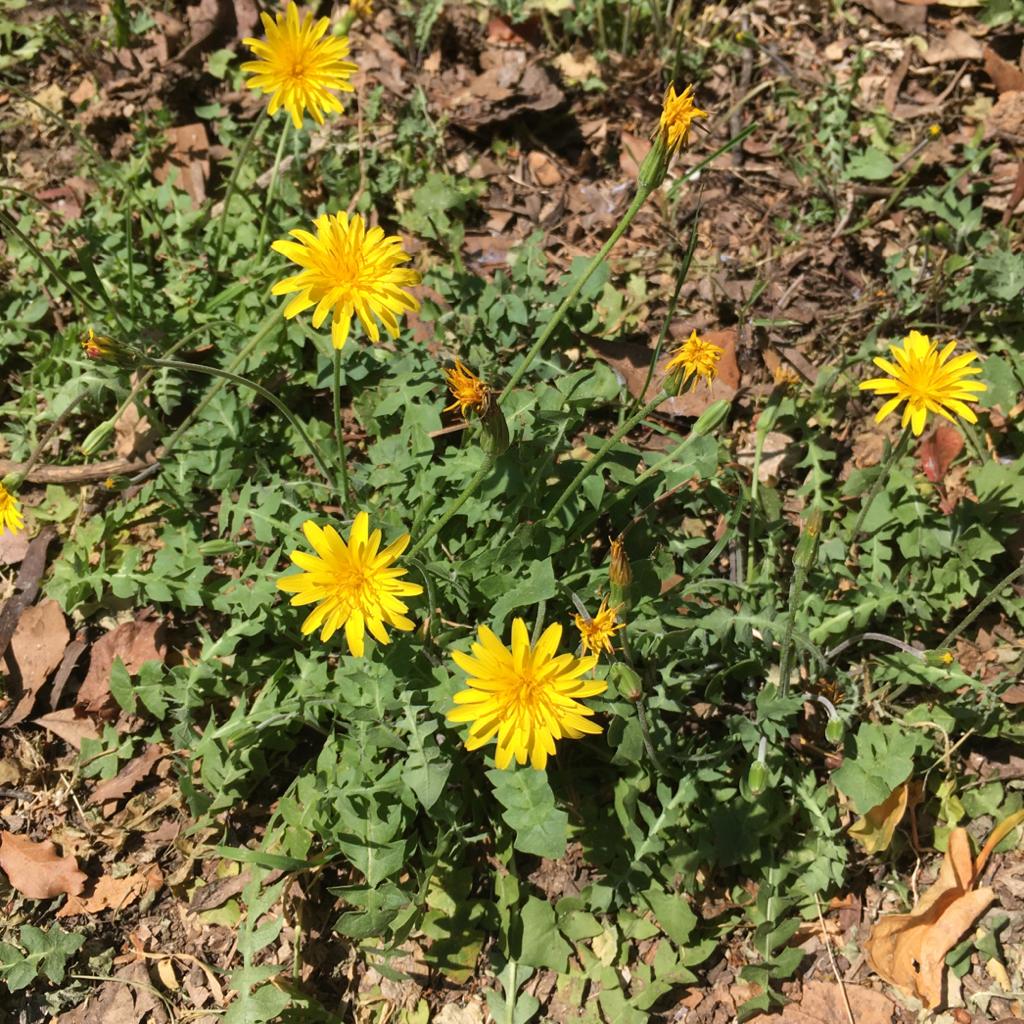 Annexe WhatsApp Image 2020-04-15 at 14.00.39 (2).jpeg