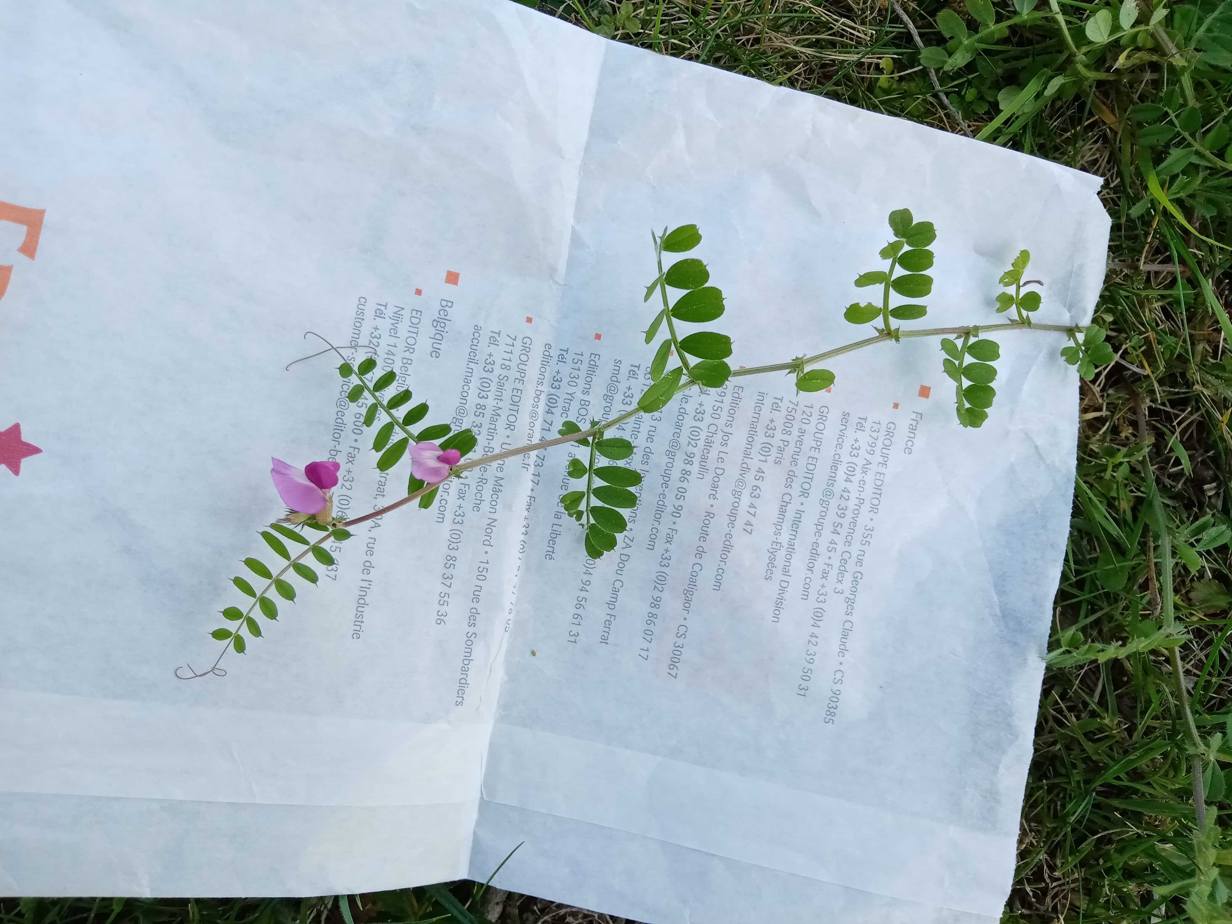 Annexe IMG_20200415_165949.jpg