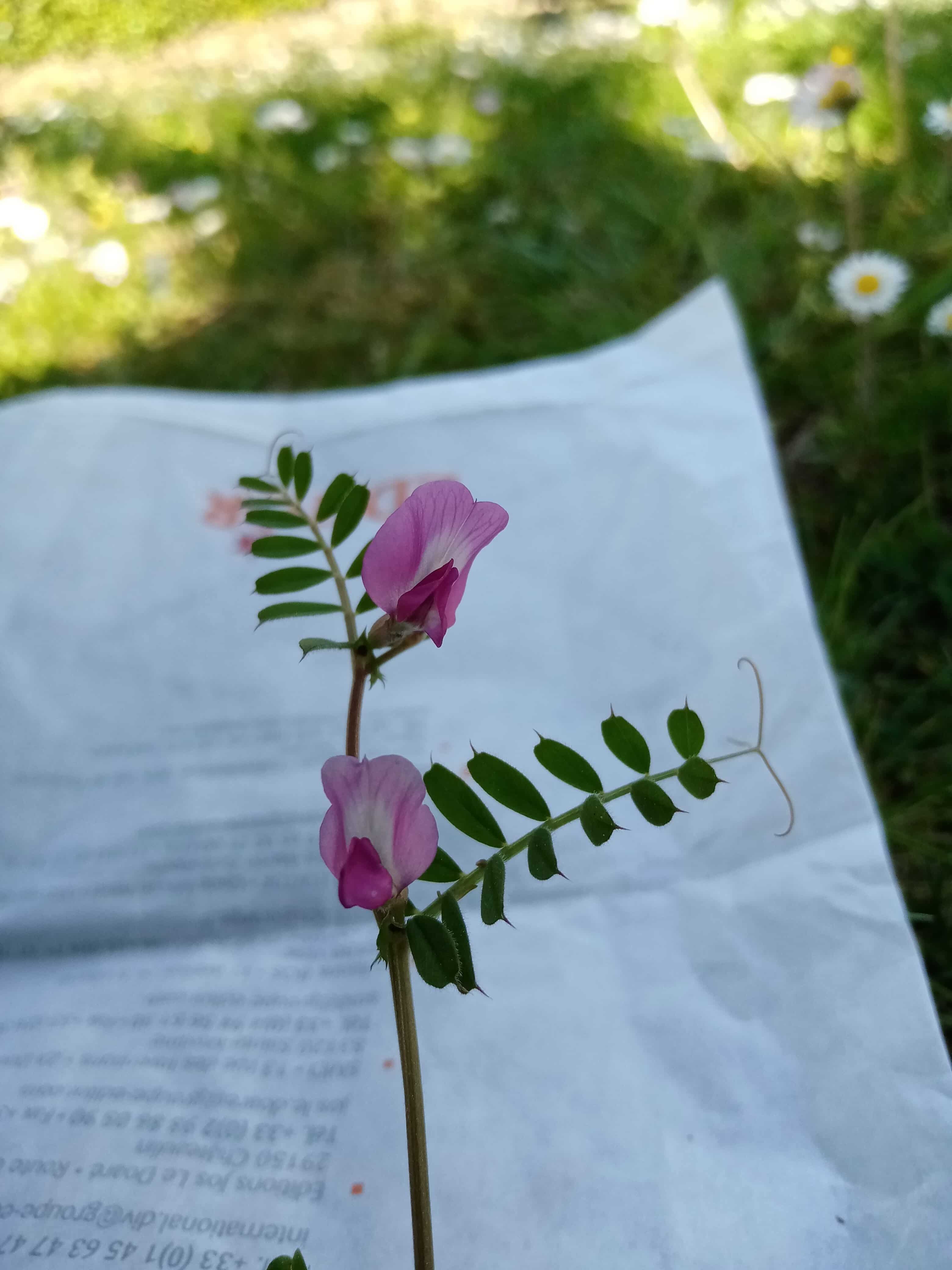 Annexe IMG_20200415_170250.jpg