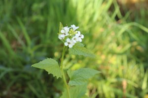 Annexe 1587022798162.jpg