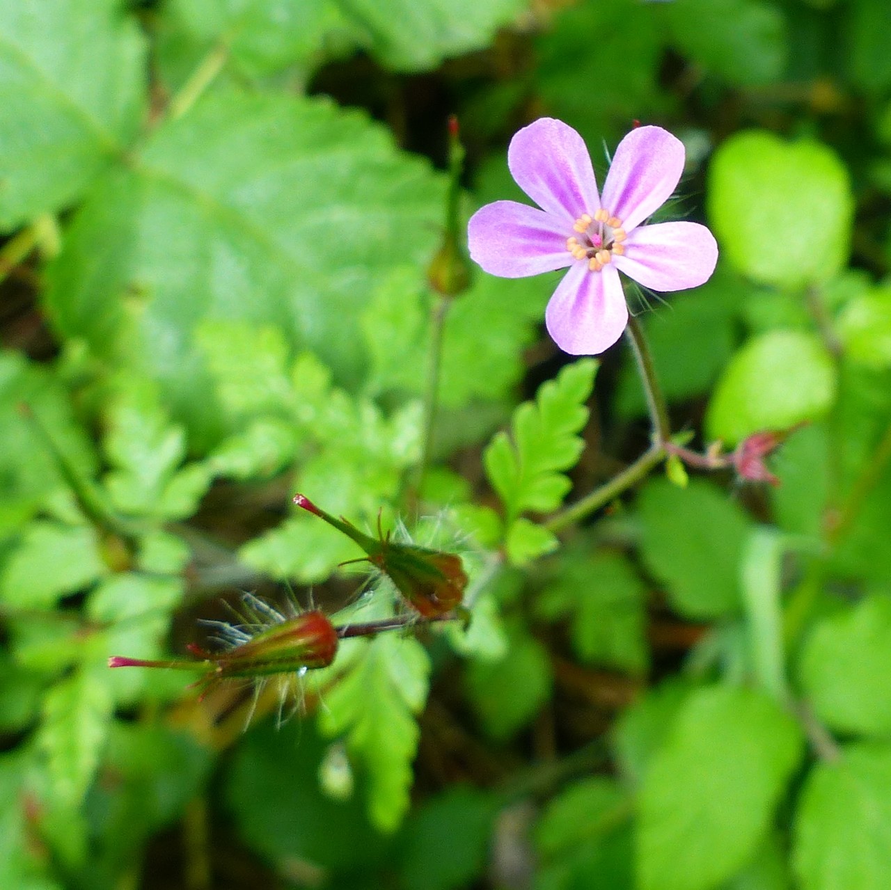 Annexe img 002372738O.jpg