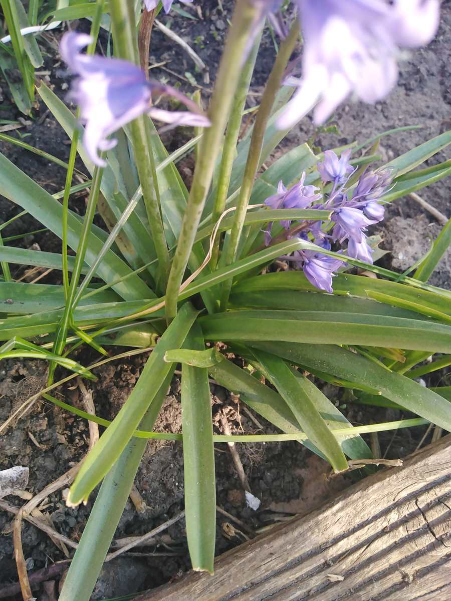 Annexe _copie-0_IMG_20200416_175511.jpg