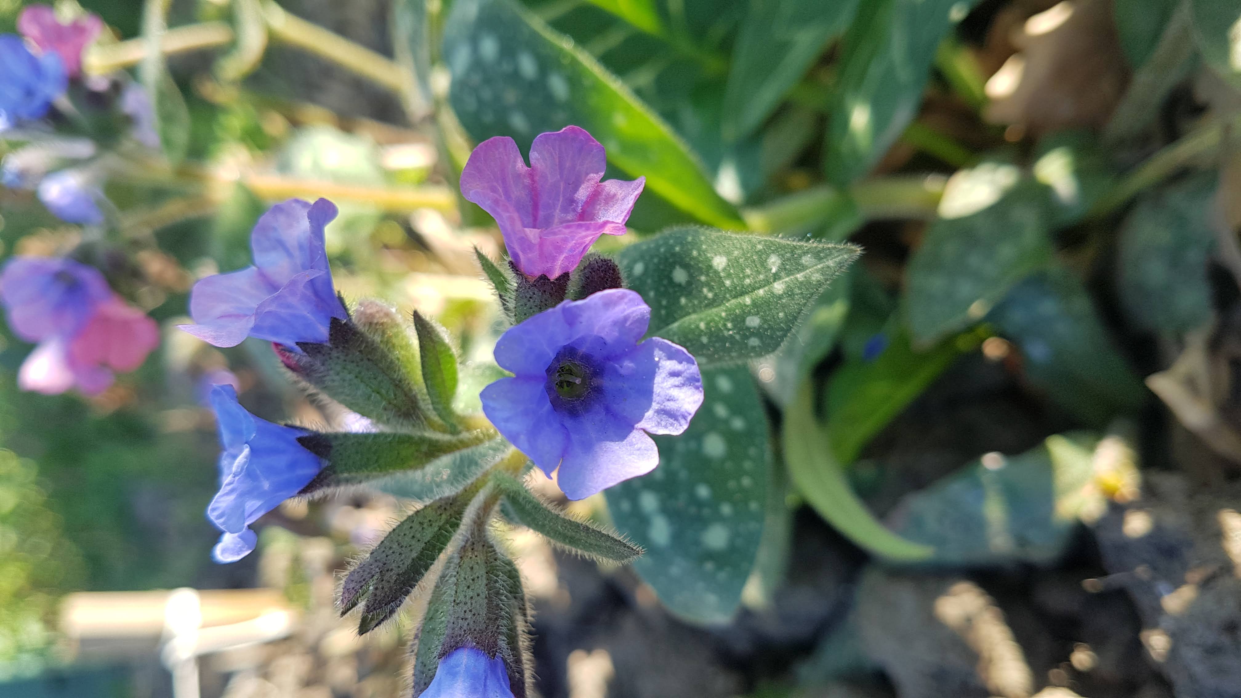 Annexe 20200411_174857.jpg