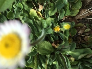 Annexe 6C59094F-D8CD-4A58-ADC1-C82229CD6AE5.jpeg