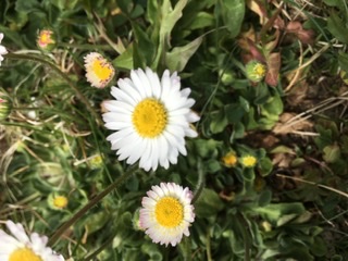 Annexe 6F591A7A-1A33-4344-AD51-2E90F4879925.jpeg