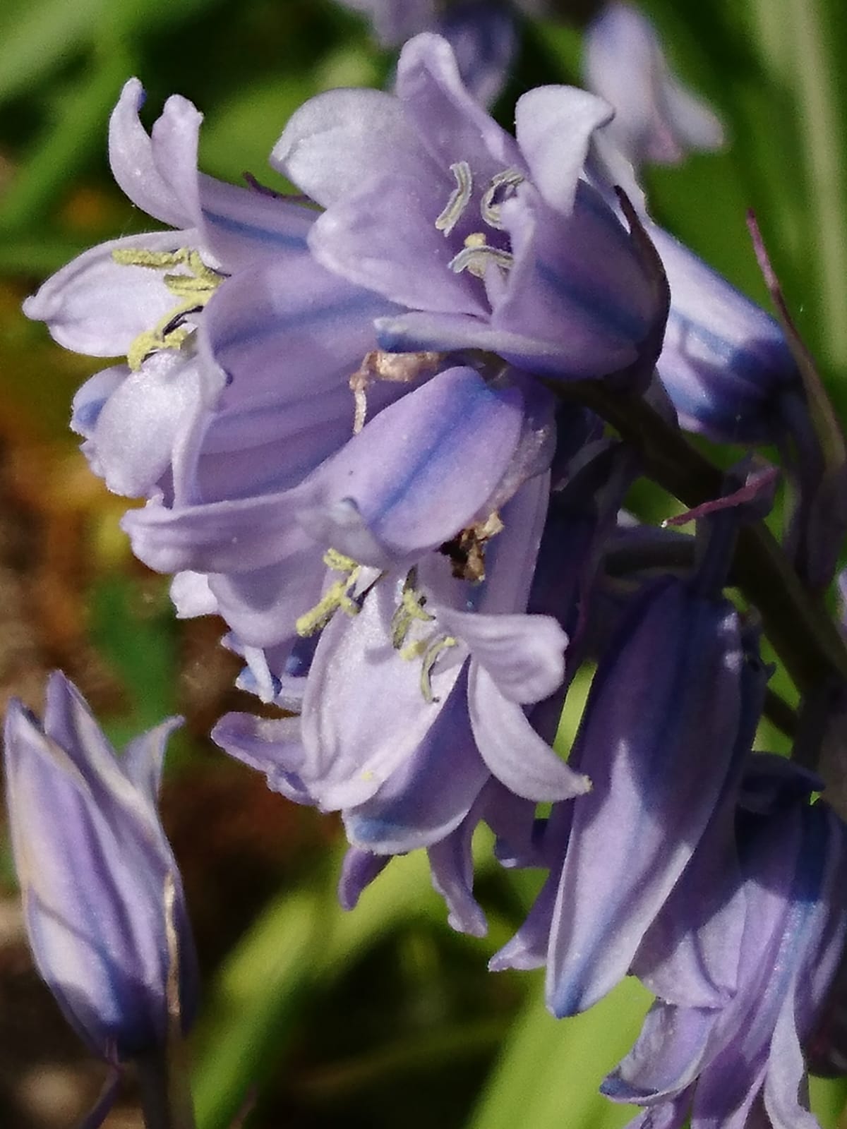 Annexe WhatsApp Image 2020-04-17 at 15.23.37.jpeg