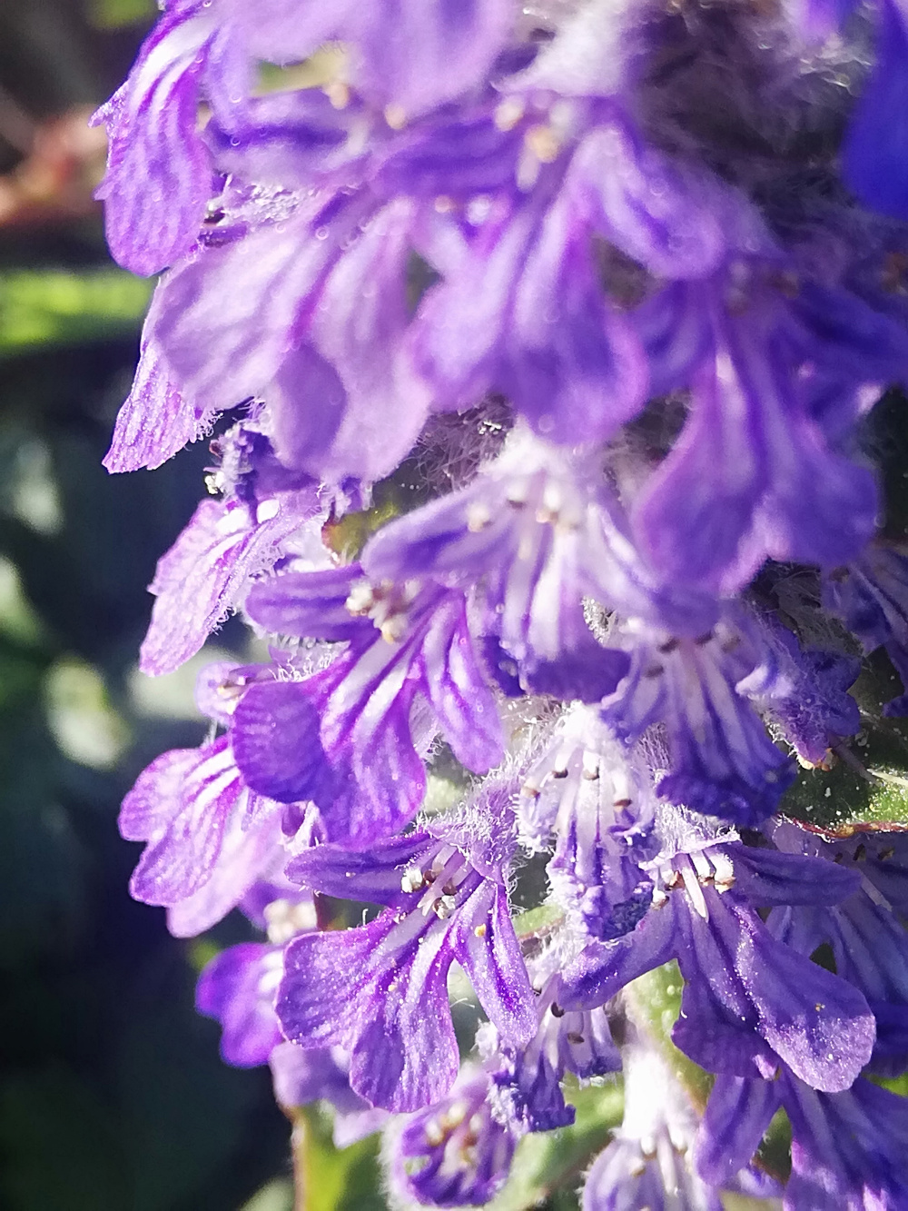 Annexe IMG_20200414_183810(1).jpg