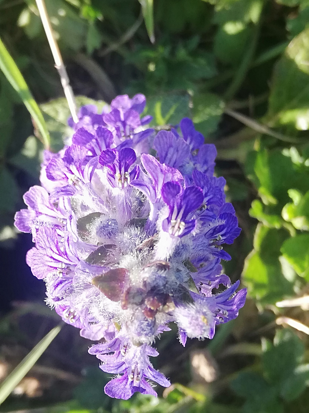 Annexe IMG_20200414_183829.jpg