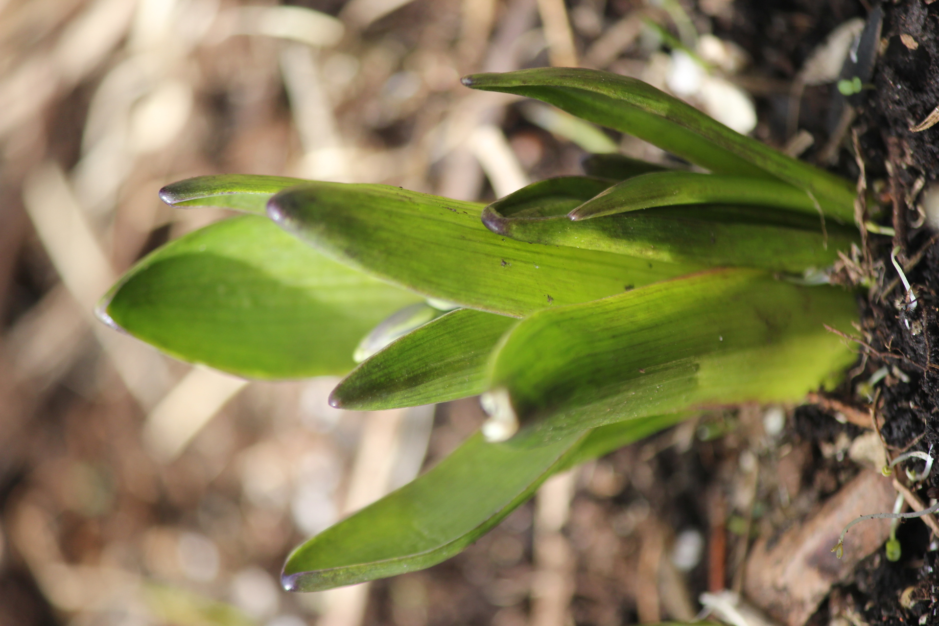 Annexe port-gnral-ConvertImage (2).jpg