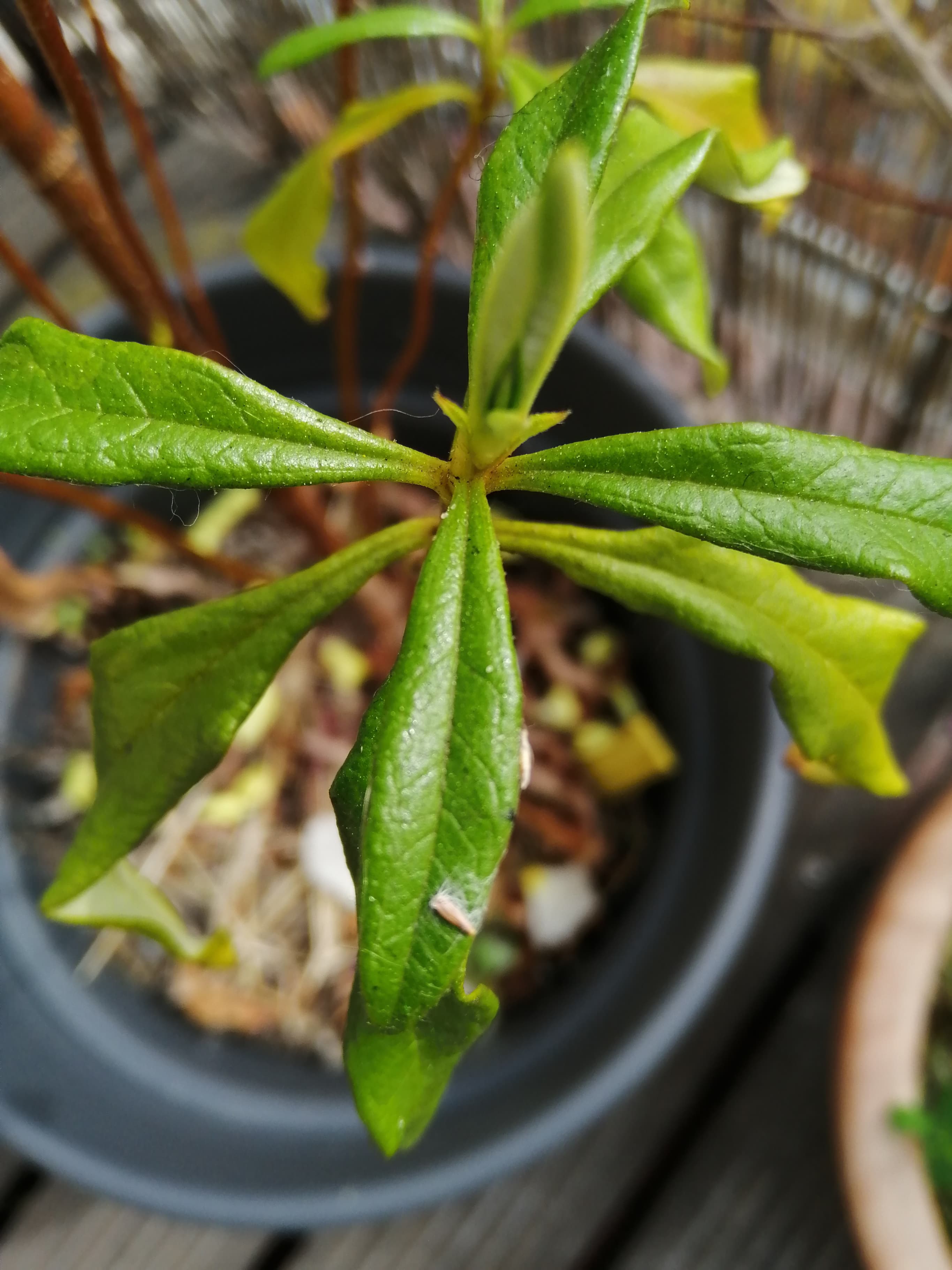 Annexe 93509241_1558519534305513_491840069687050240_n.jpg