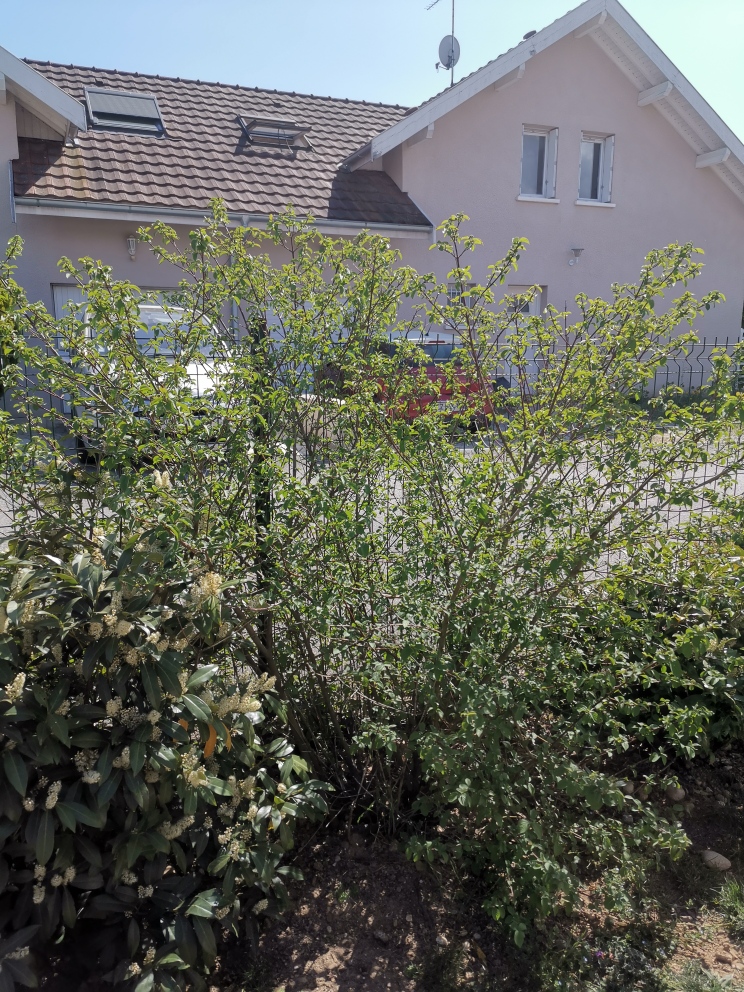 Annexe vue générale.jpg