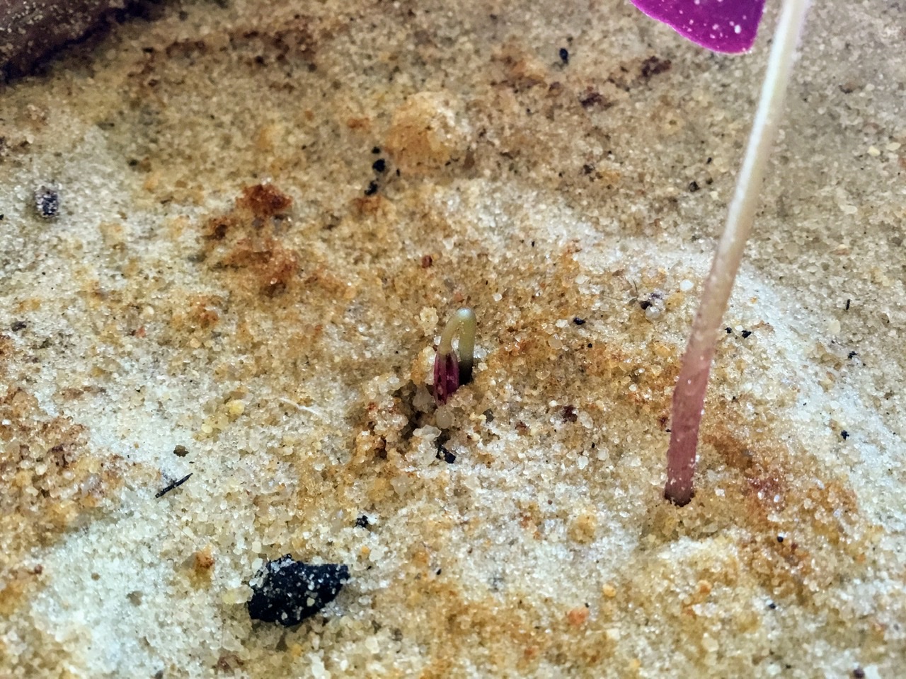 Annexe 665FBEEA-8A74-4036-9A3A-7EF1A0D526E4.jpeg