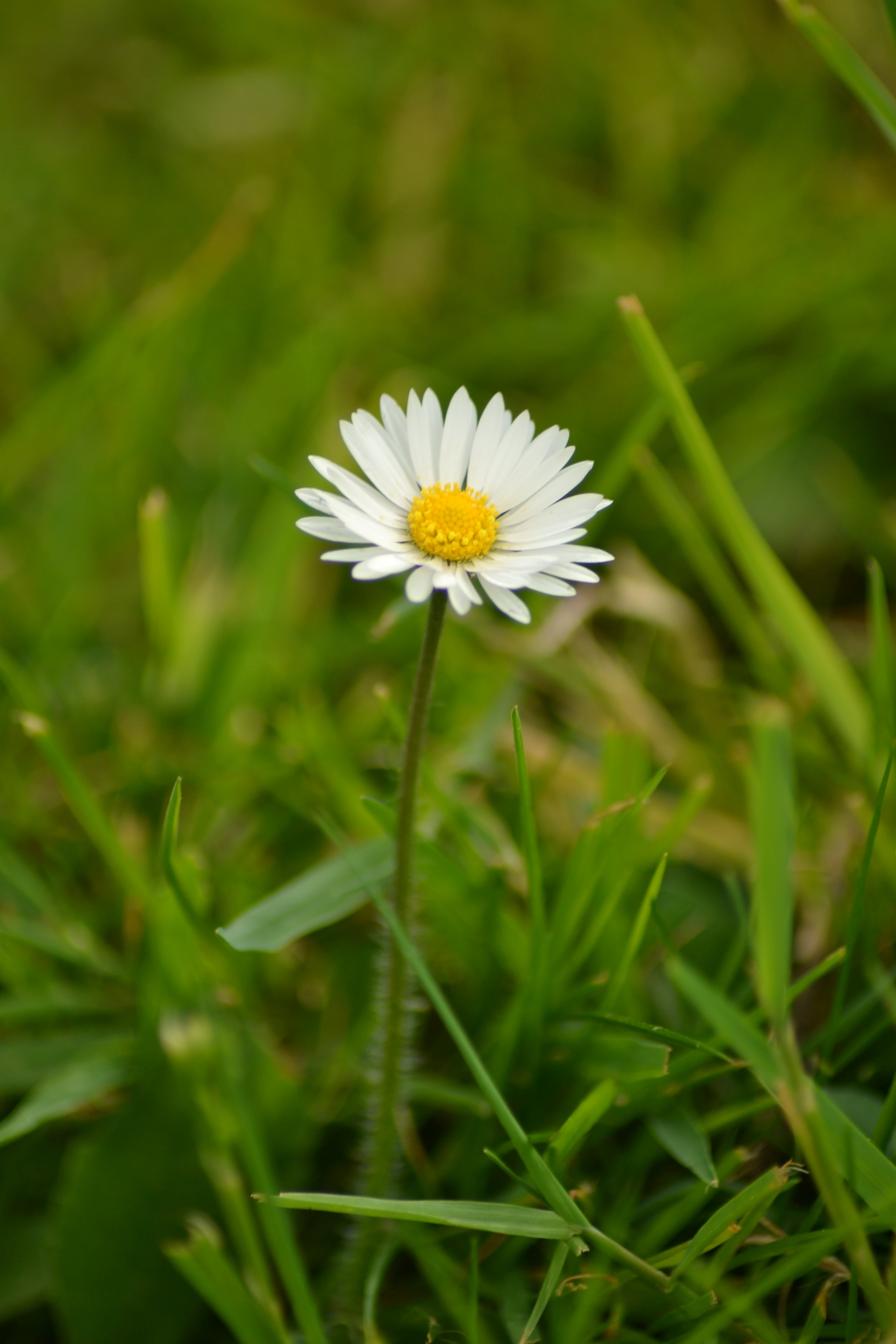 Annexe DSC_0895-min.JPG