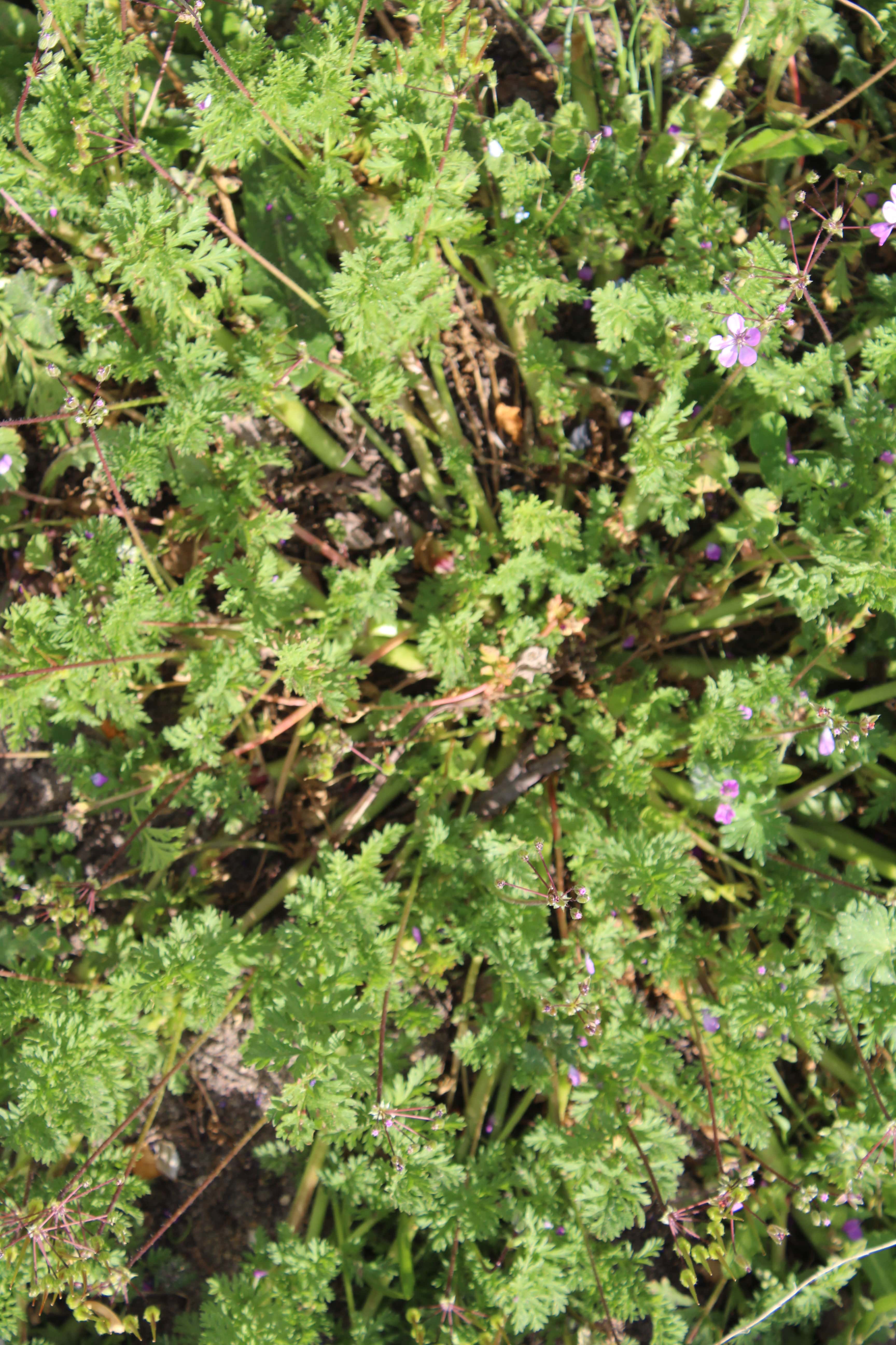 Annexe IMG_9210-min.JPG