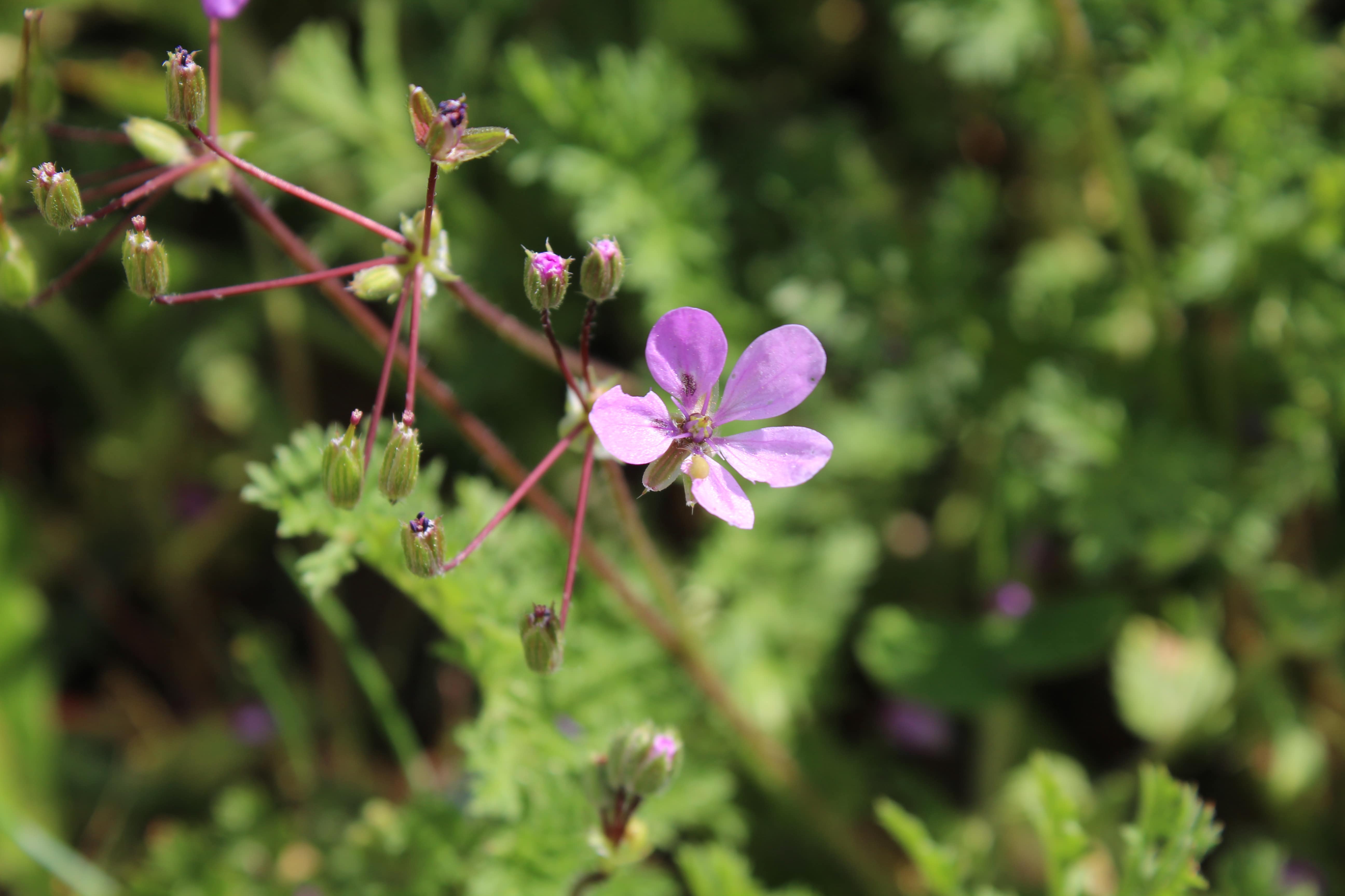 Annexe IMG_9211-min.JPG