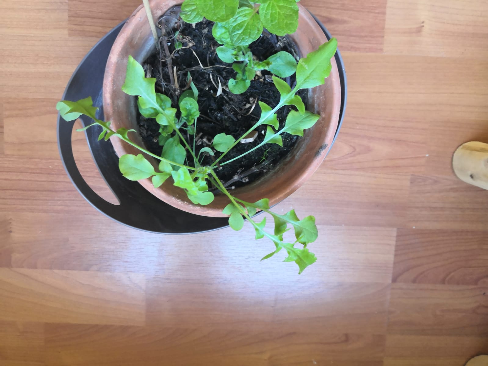 Annexe à identifier_vue globale.jpg