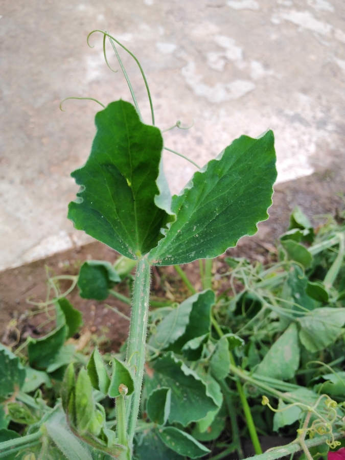 Annexe Optimized-1.jpg