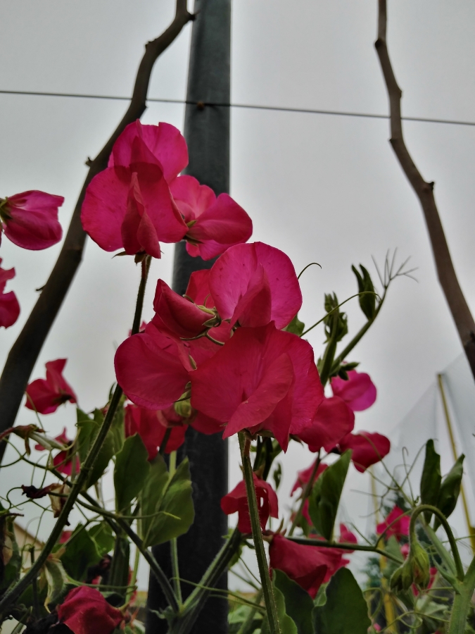 Annexe Optimized-2.jpg