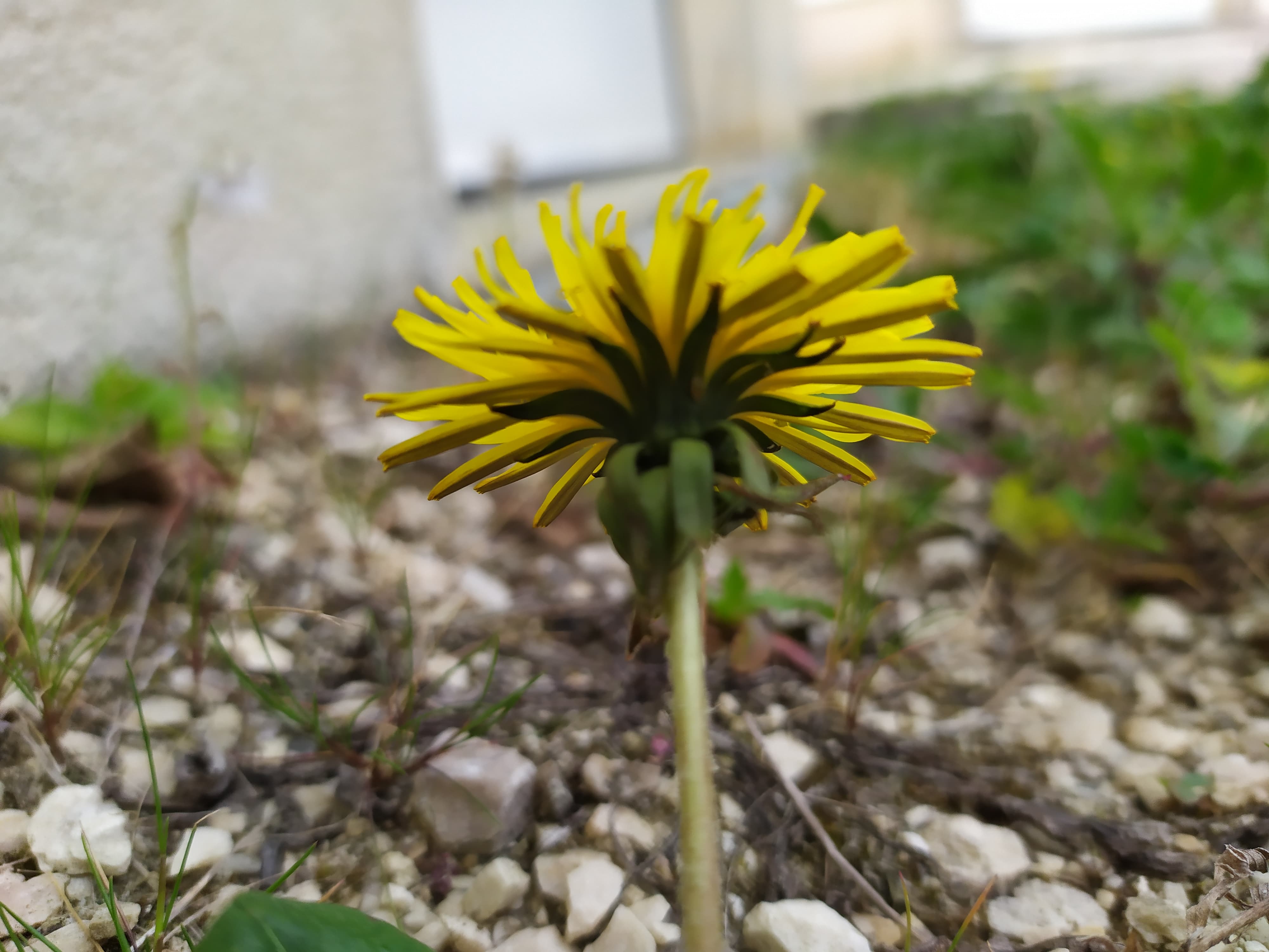 Annexe 94022117_223322418989692_7403463779289137152_n.jpg