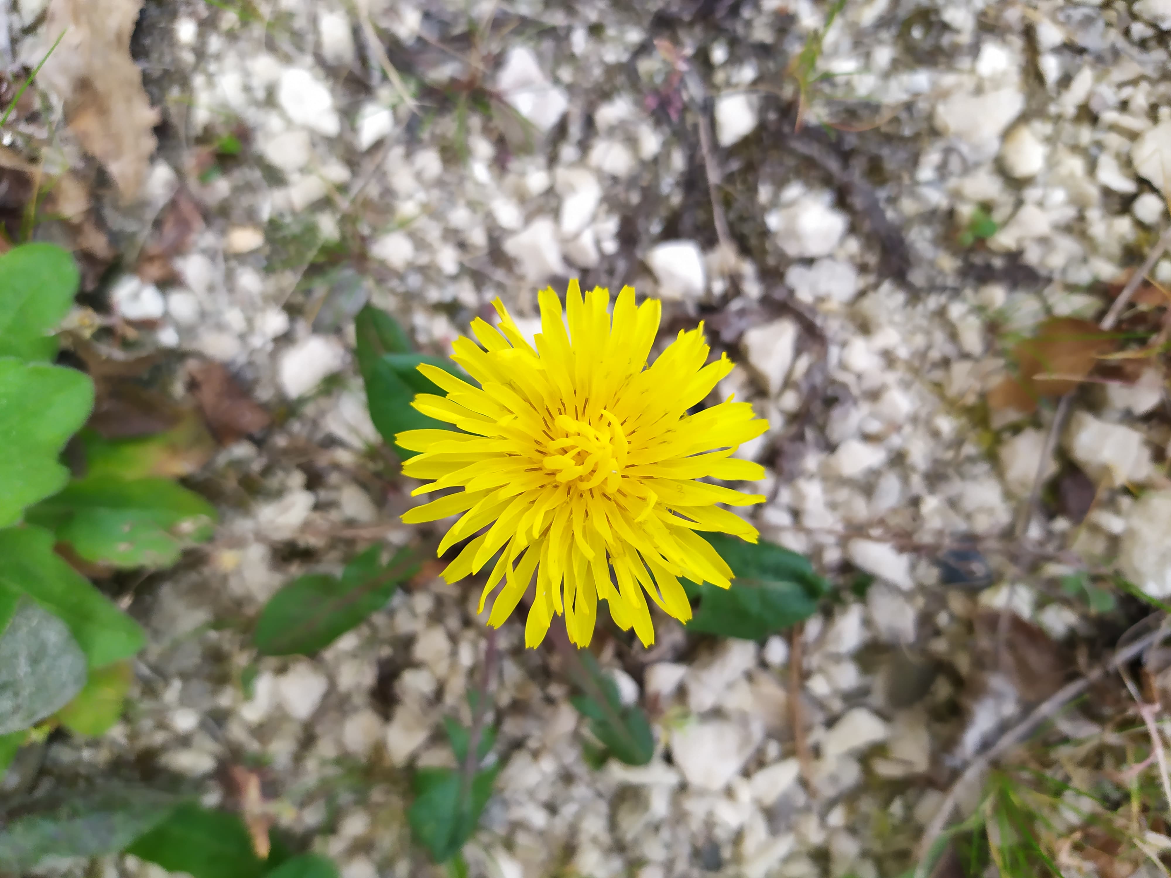 Annexe 94310999_2883676541714692_4688222009224593408_n.jpg