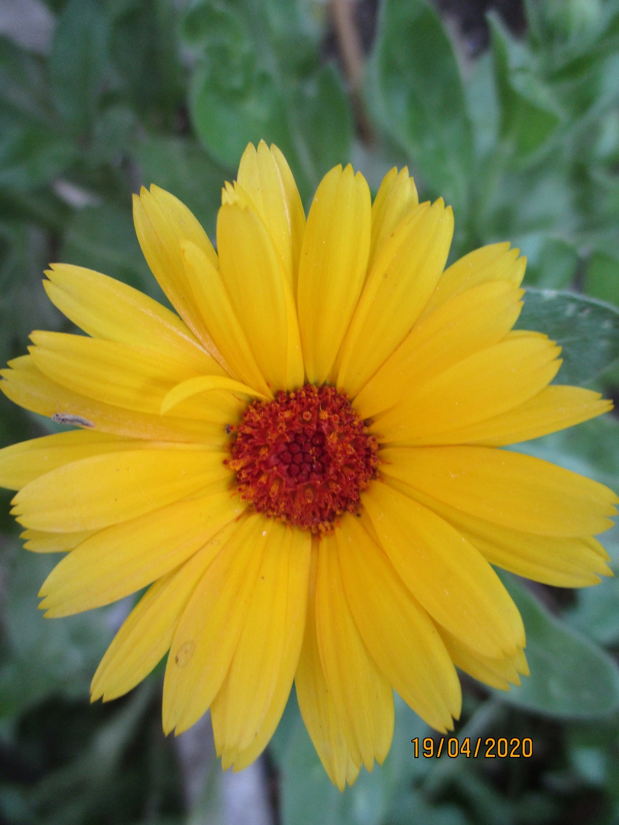 Annexe Souci-vue-aérienne.JPG