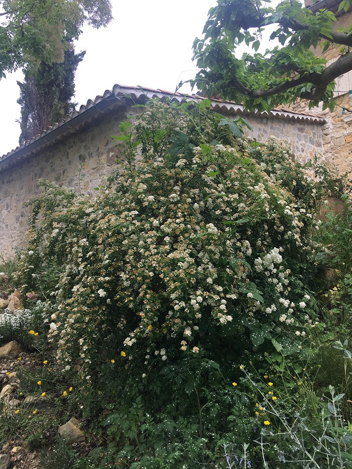 Annexe 94889242_2568359466766462_745952711698022400_n.jpg