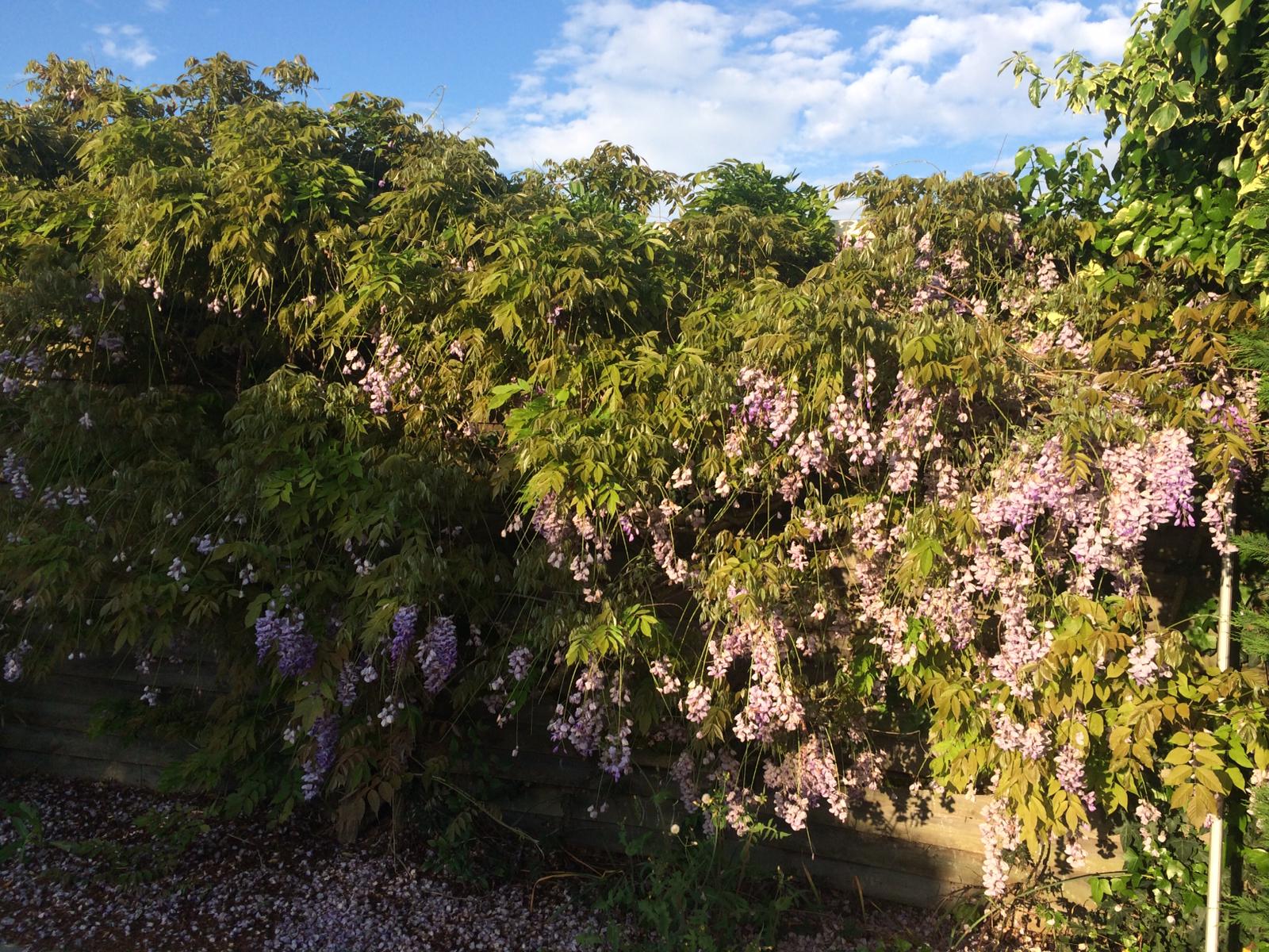 Annexe WhatsApp Image 2020-04-20 at 19.35.34.jpeg