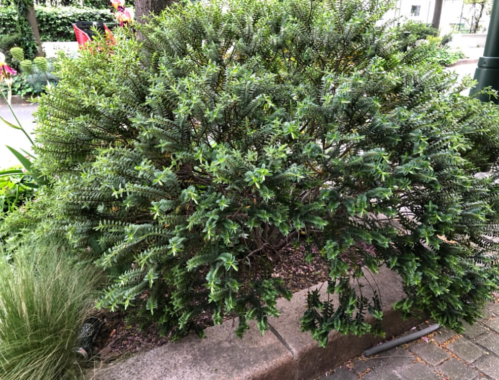 Annexe IMG_0843 (1).jpg