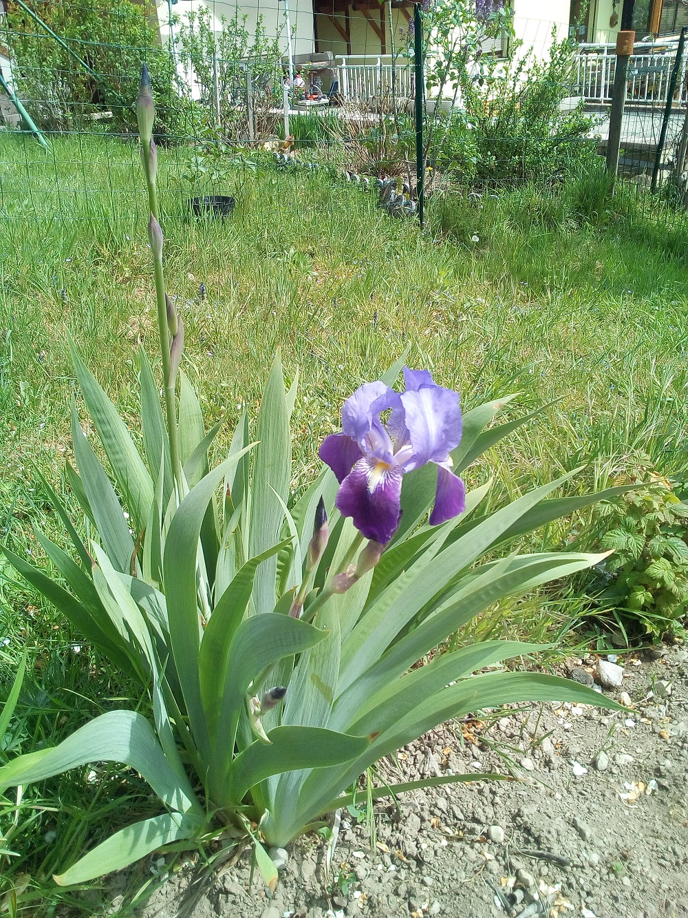 Annexe IMG_20200421_134658.jpg